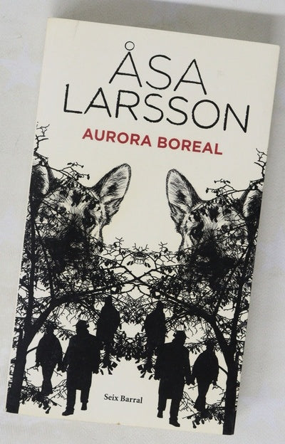 Aurora boreal
