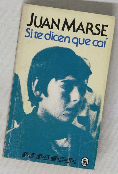 Si te dicen que caí