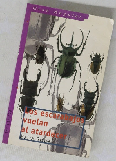Los escarabajos vuelan al atardecer