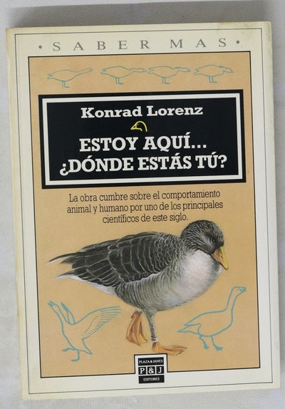 Estoy aquí ­ ¿Dónde estás tú?