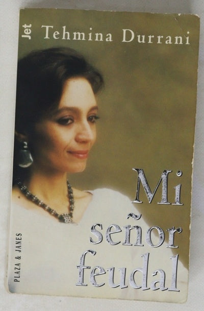Mi señor feudal