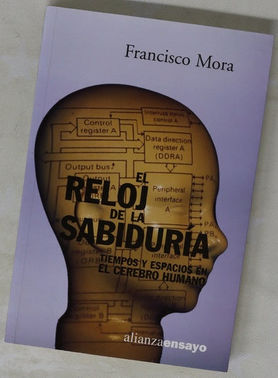 El reloj de la sabiduría tiempos y espacios en el cerebro humano