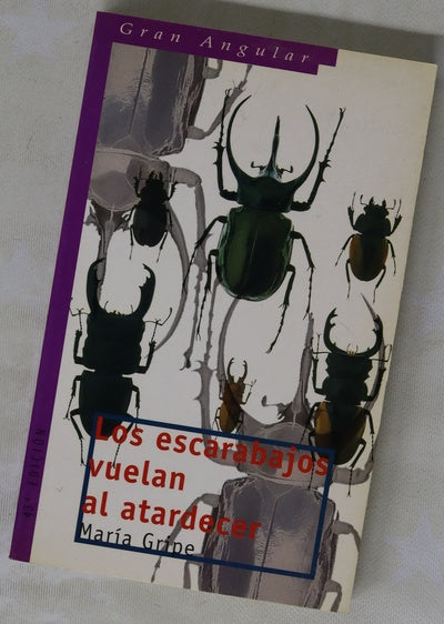 Los escarabajos vuelan al atardecer