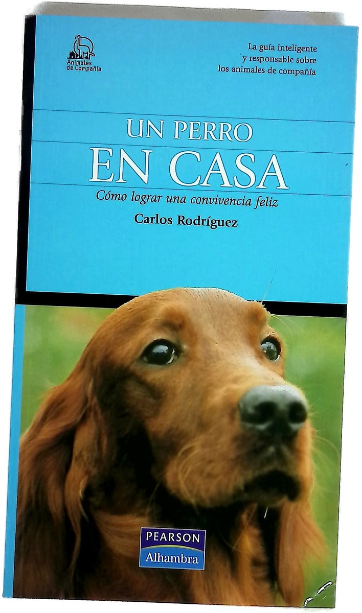 Un perro en casa cómo lograr una convivencia feliz