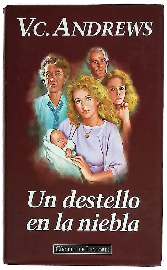Un destello en la niebla