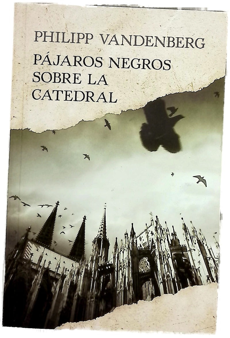 Pájaros negros sobre la catedral