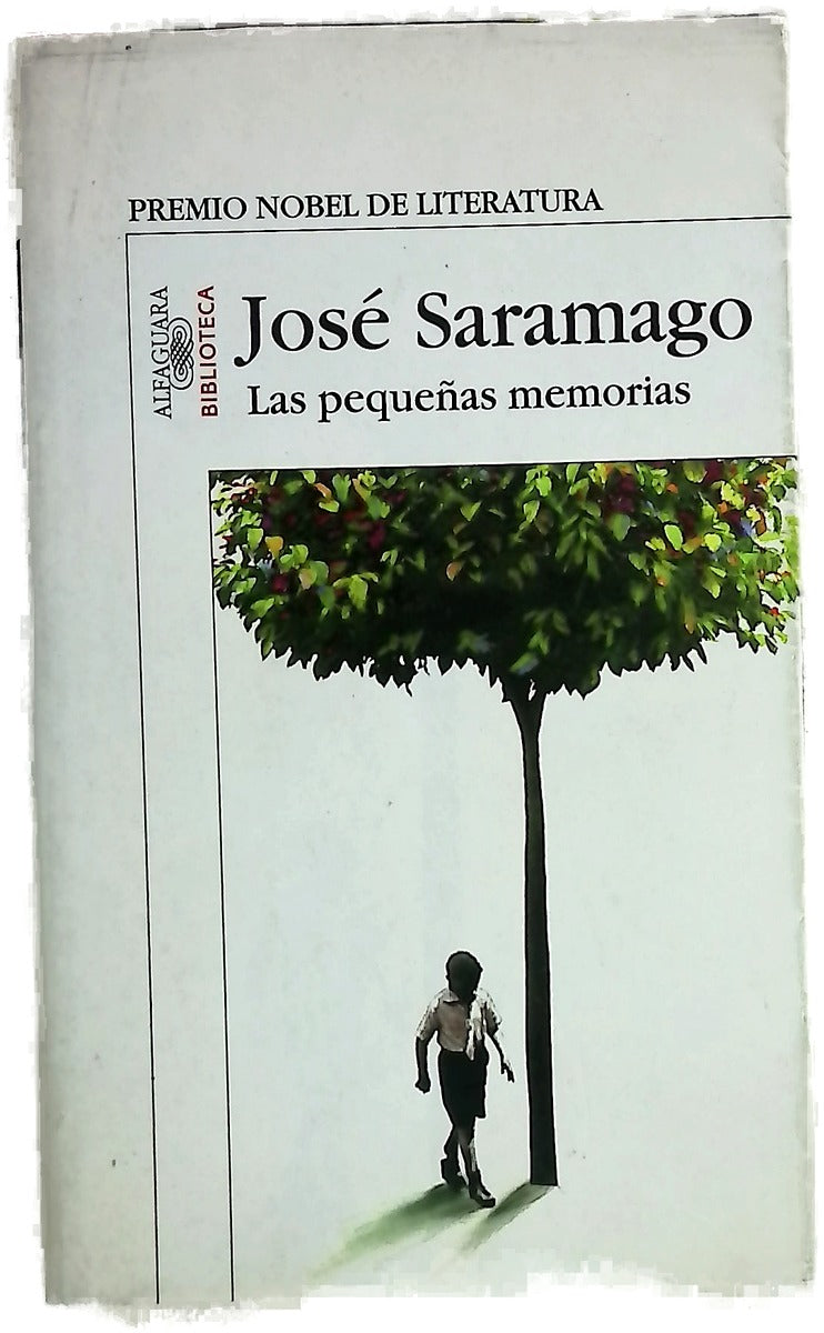 Las pequeñas memorias