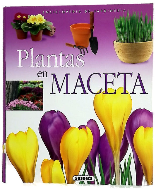 Plantas en maceta