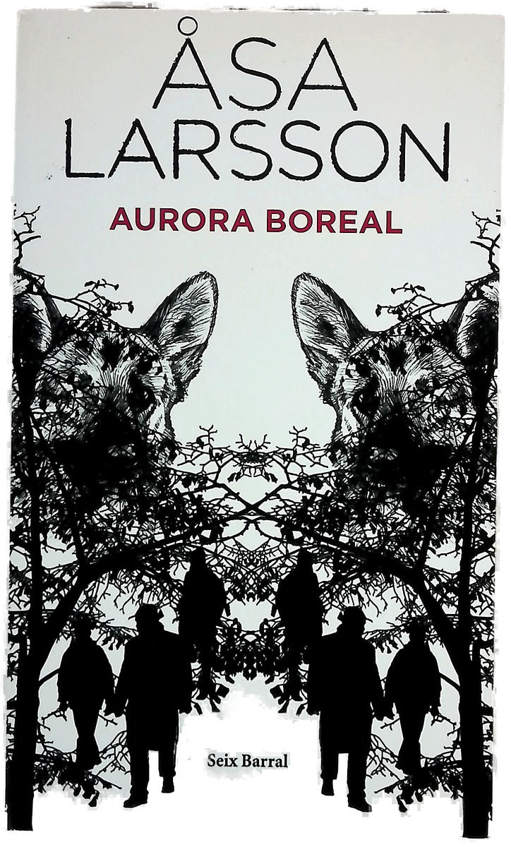Aurora boreal