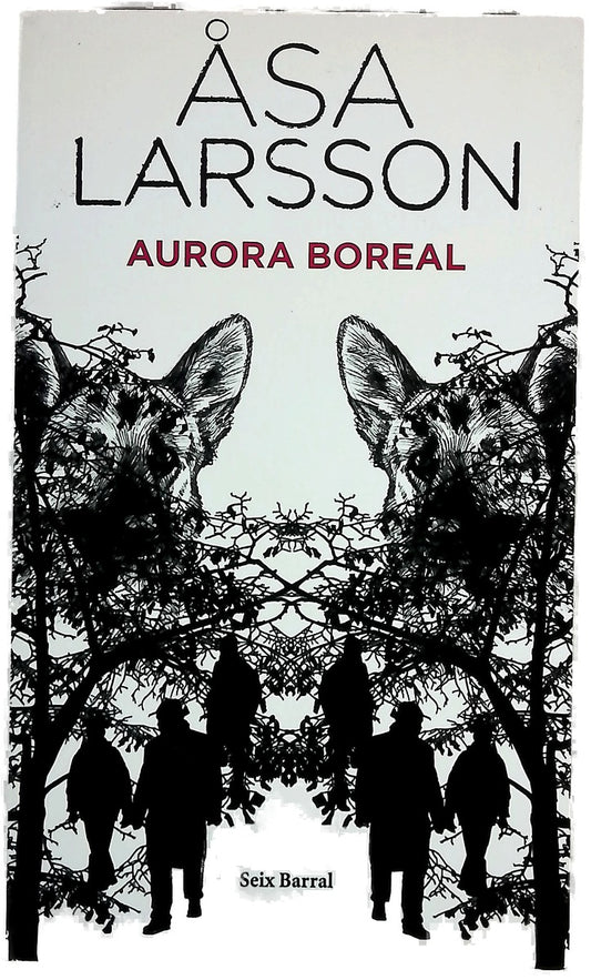 Aurora boreal