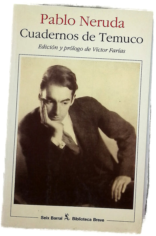 Cuadernos de Temuco : 1919-1920