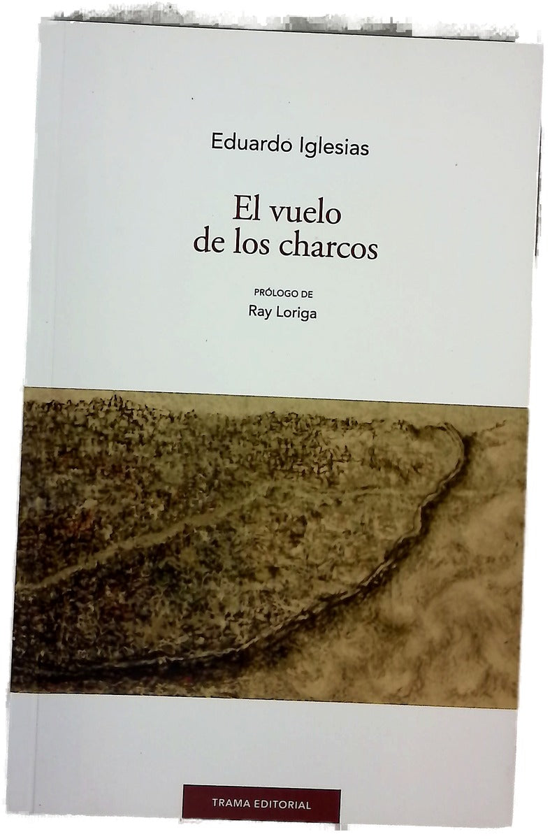 El vuelo de los charcos
