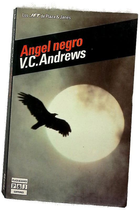 Angel negro