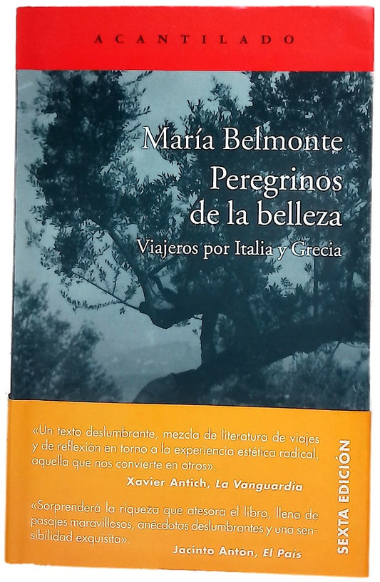 Peregrinos de la belleza : viajeros por Italia y Grecia