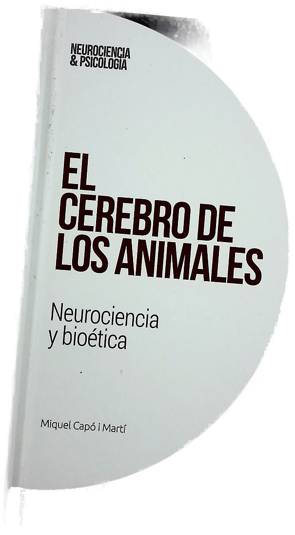 Epilepsia y sincronización cerebral : una aproximación rigurosa y amena a uno de los trastornos neurológicos más comunes