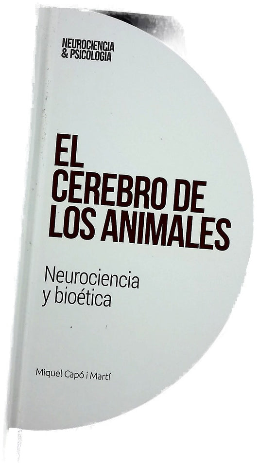 Epilepsia y sincronización cerebral : una aproximación rigurosa y amena a uno de los trastornos neurológicos más comunes