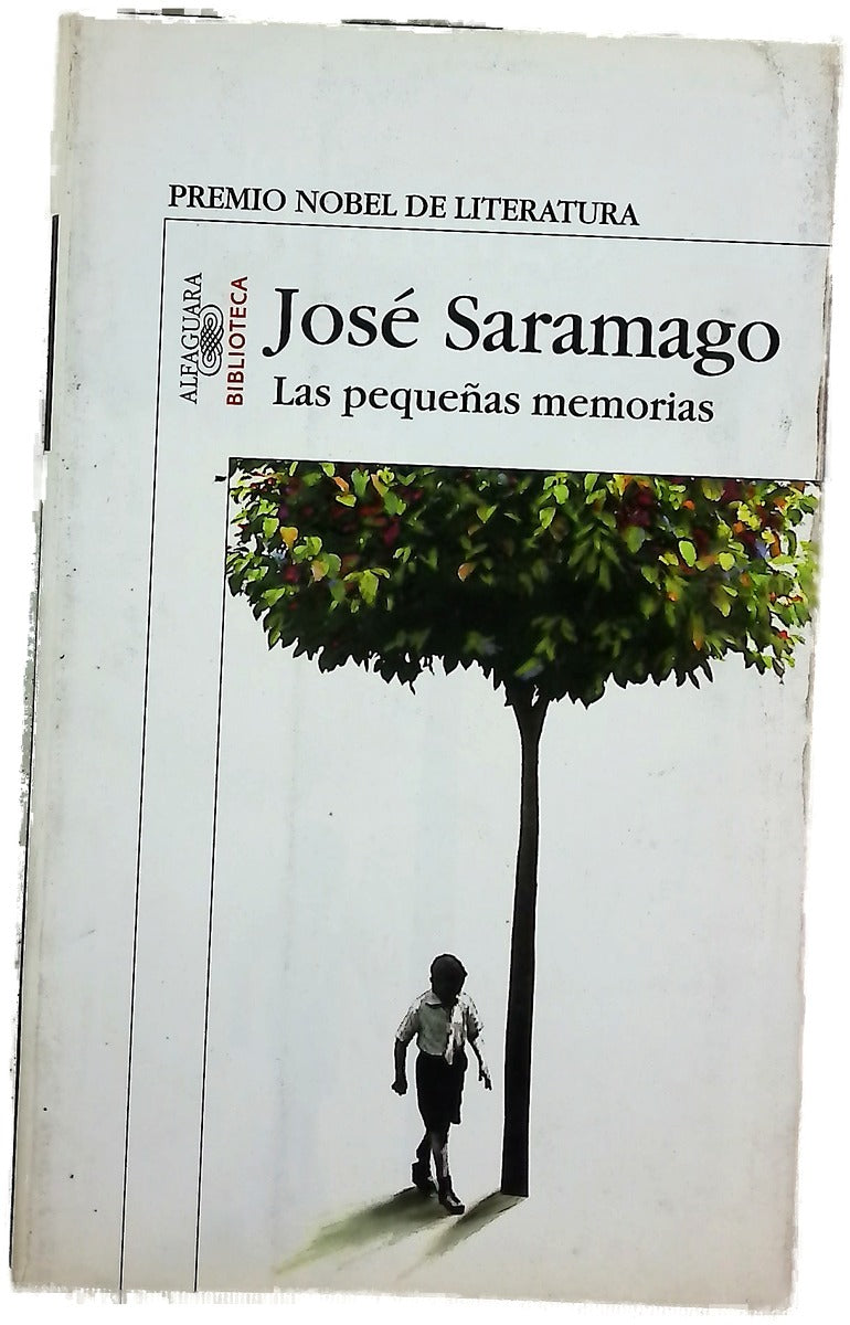 Las pequeñas memorias