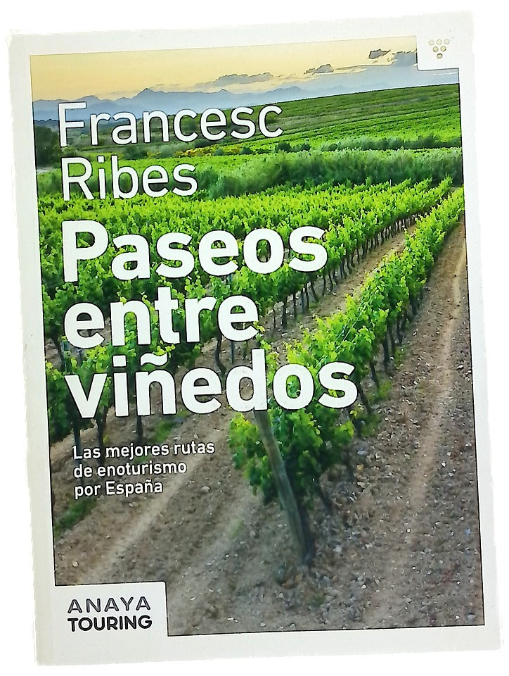 Paseos entre viñedos : las mejores rutas de enoturismo por España
