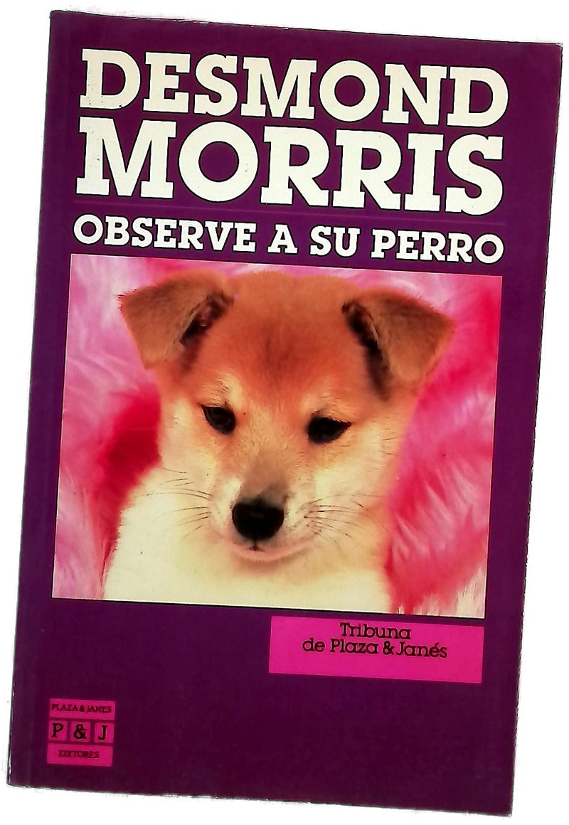 Observe a su perro