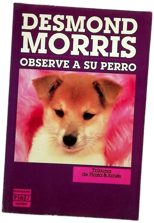 Observe a su perro
