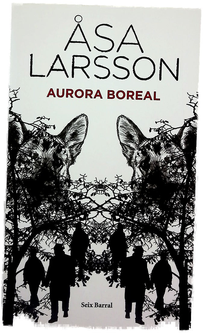 Aurora boreal