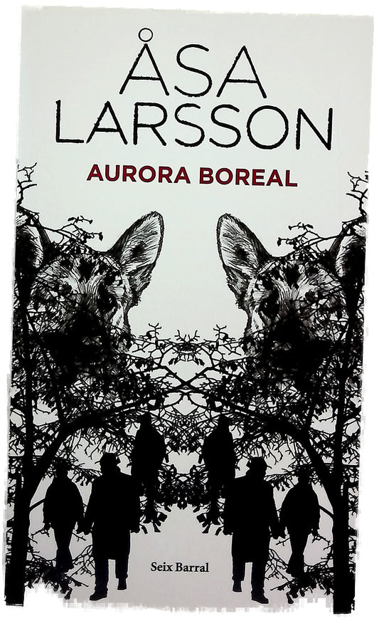 Aurora boreal