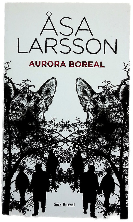 Aurora boreal
