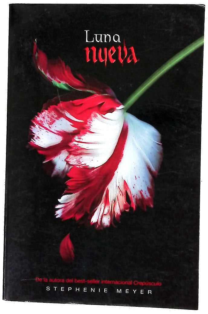 Luna nueva