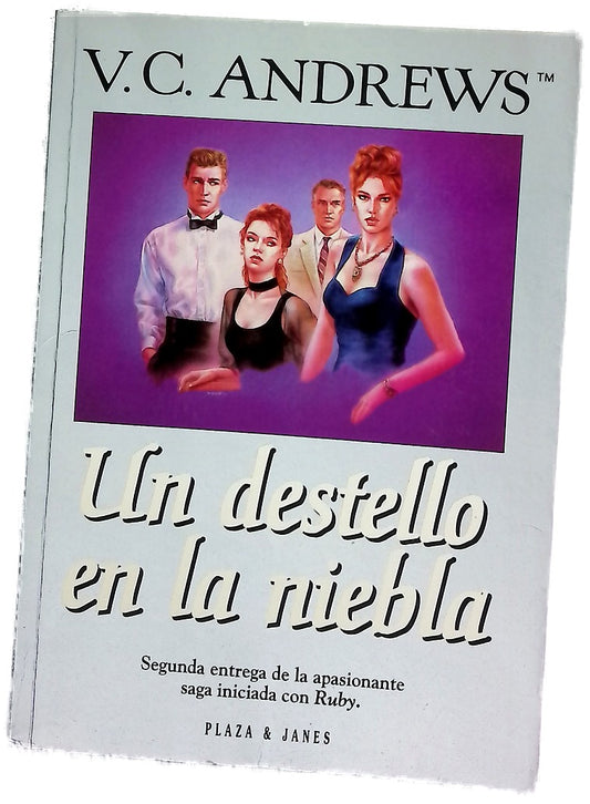 Un destello en la niebla