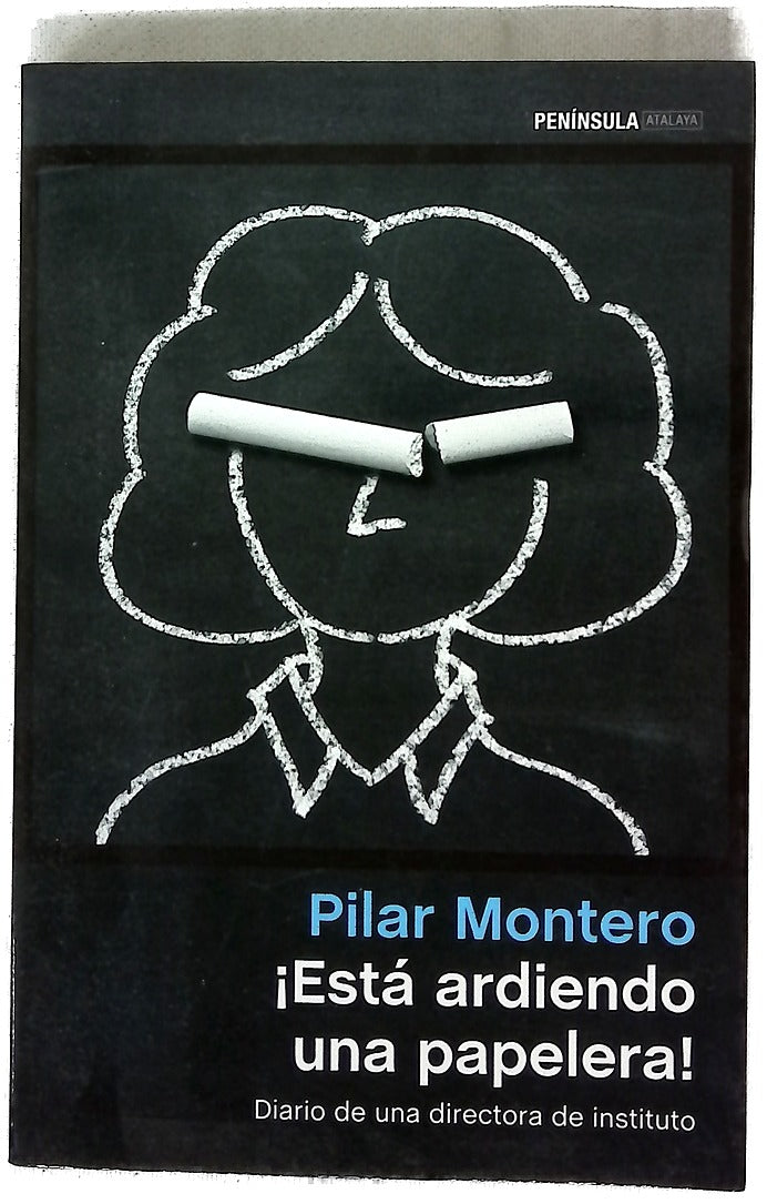 ¡Está ardiendo una papelera! : diario de una directora de instituto