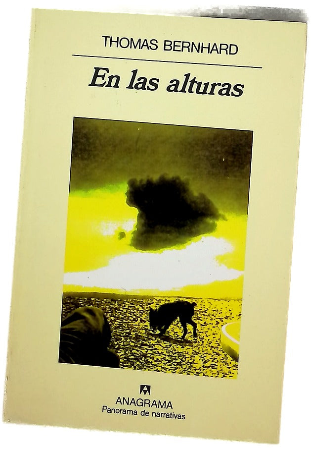 En las alturas tentativa de salvamento, absurdo