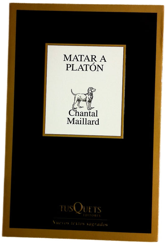 Matar a Platón seguido de Escribir