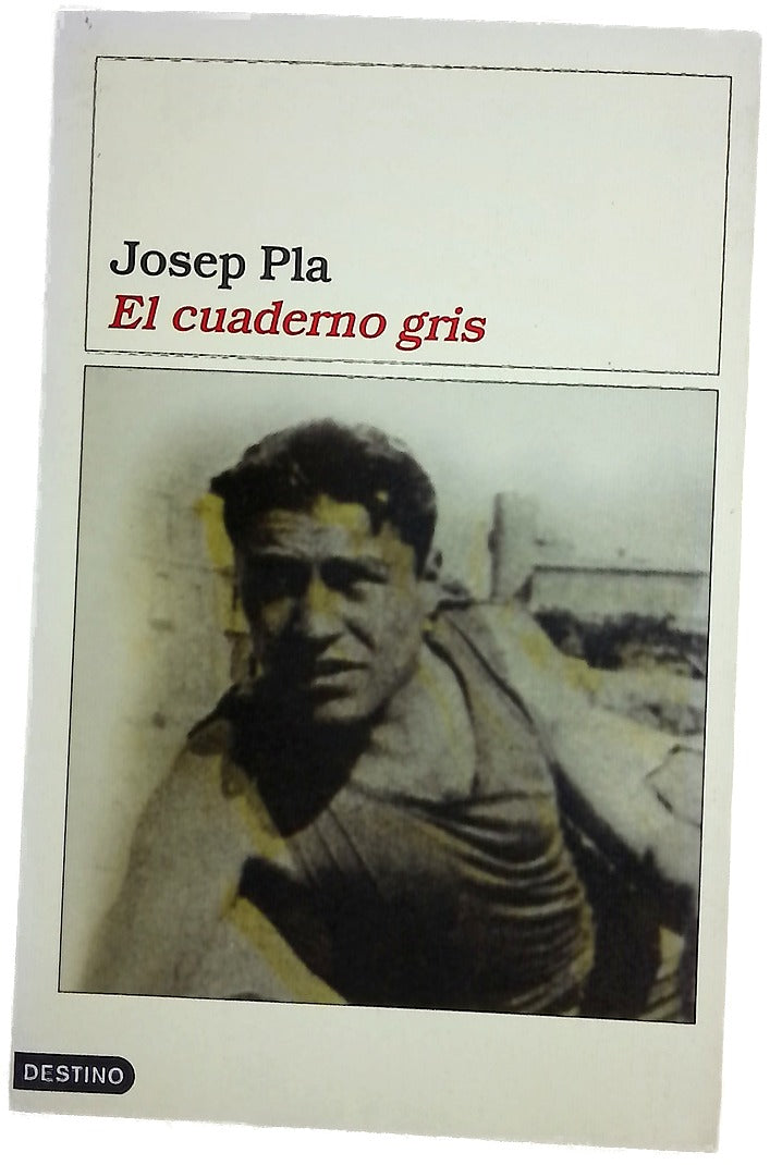 El cuaderno gris un dietario