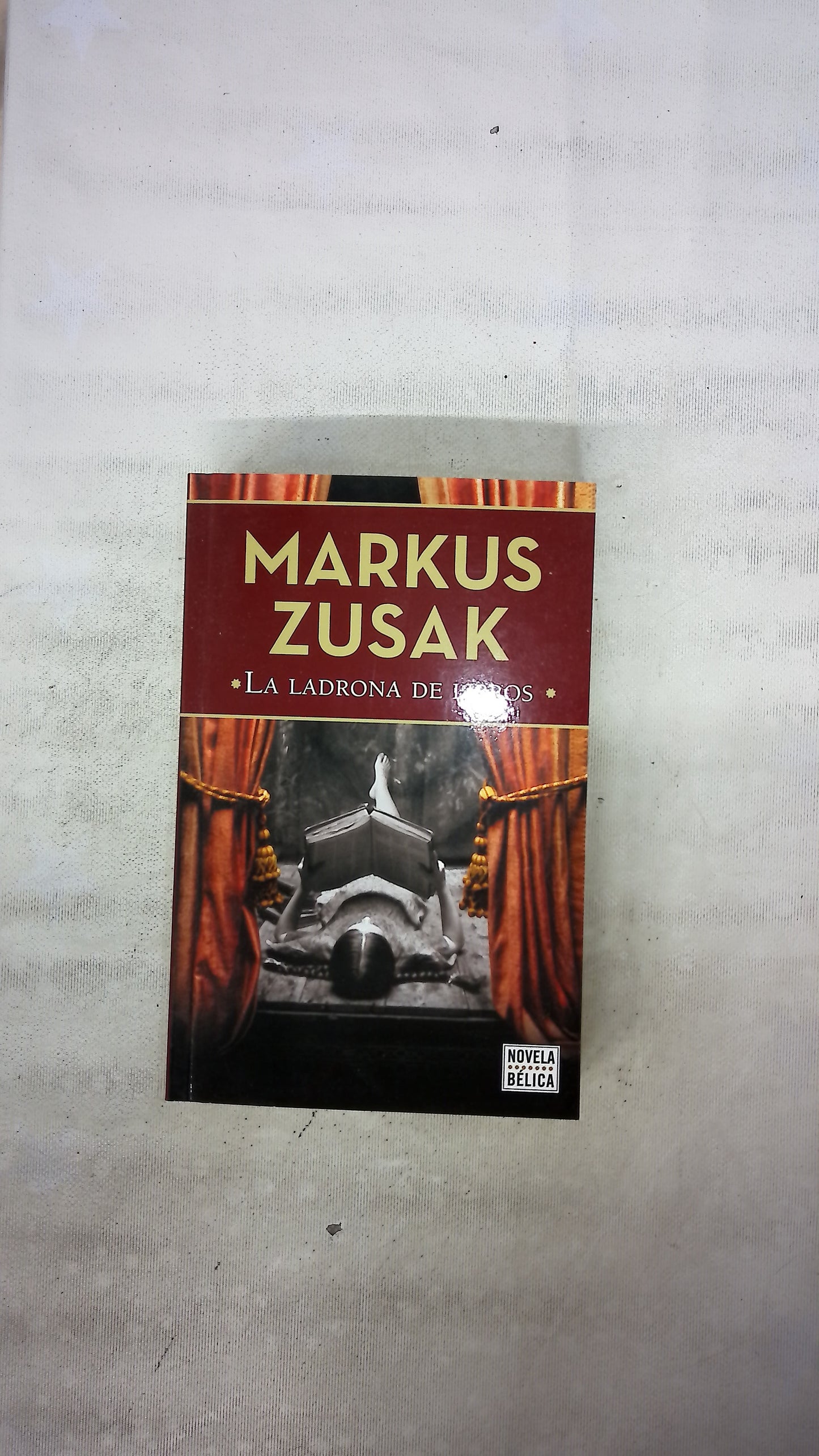 La ladrona de libros