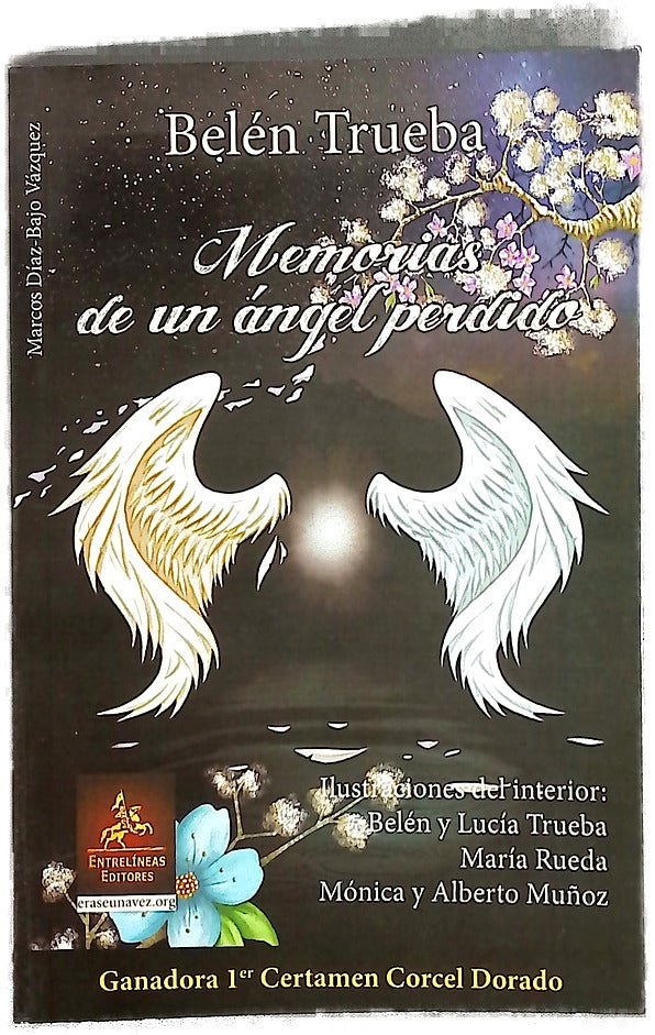 Memorias de un ángel perdido