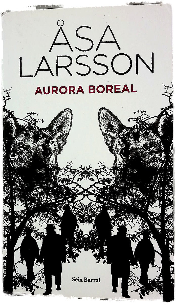Aurora boreal