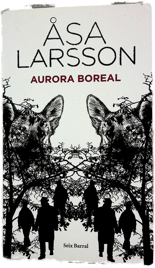 Aurora boreal