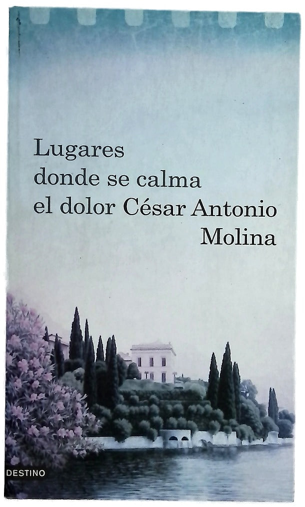 Lugares donde se calma el dolor