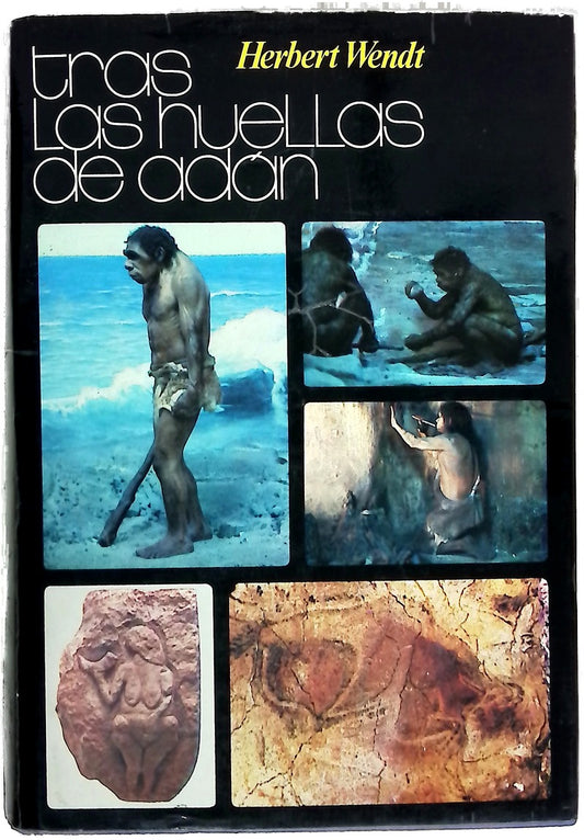 Tras las huellas de Adán la novela del origen del hombre