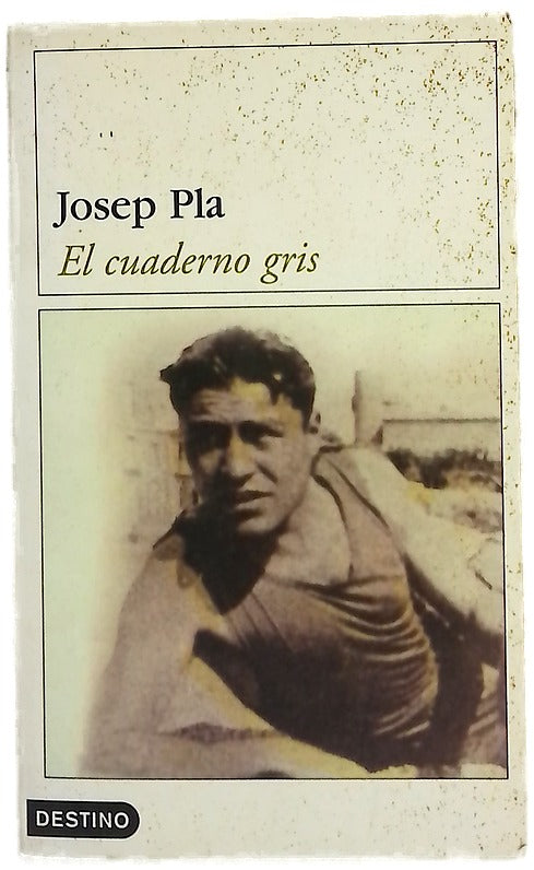 El cuaderno gris un dietario