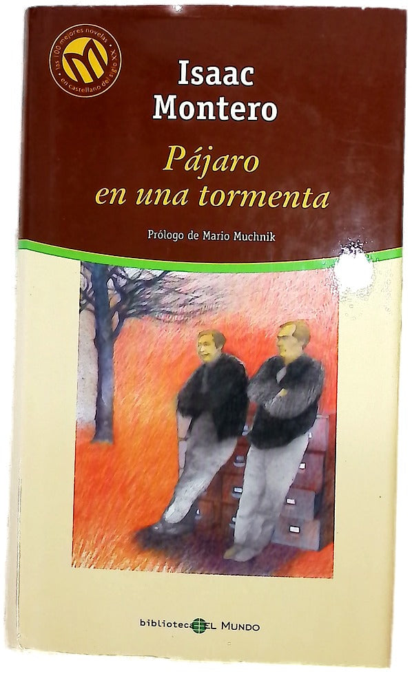 Pájaro en una tormenta