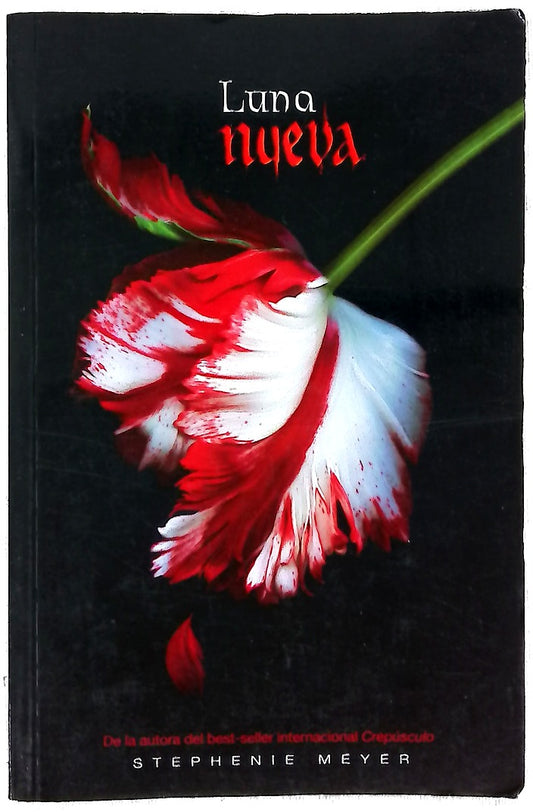 Luna nueva