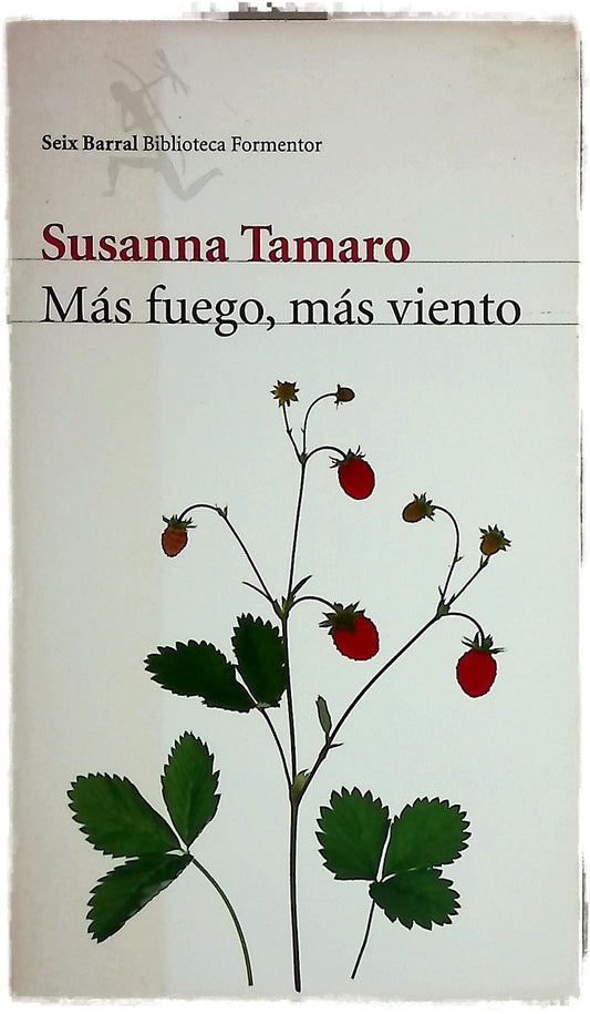 Más fuego, más viento