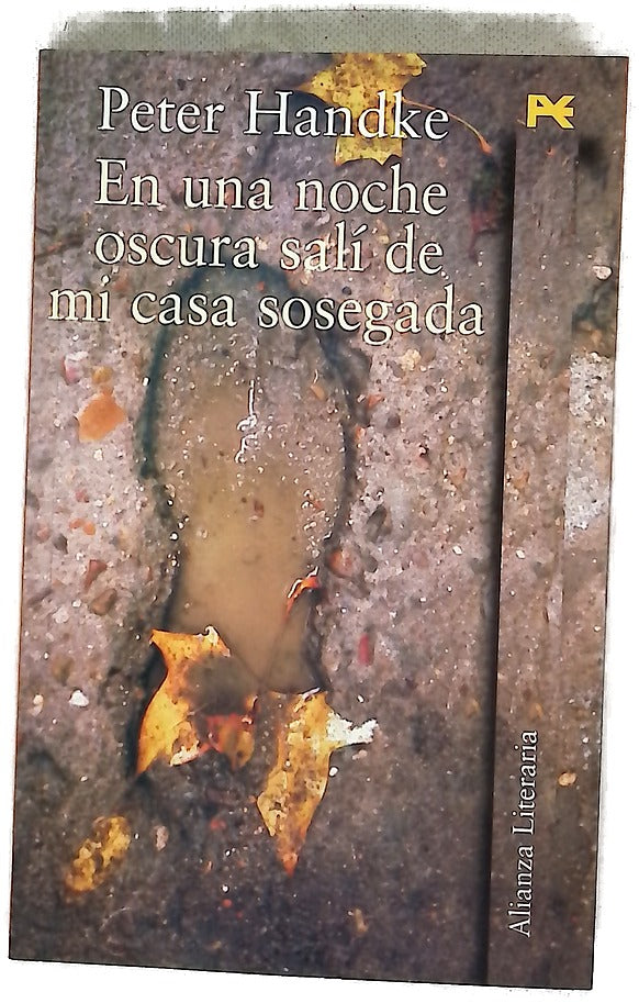 En una noche oscura salí de mi casa sosegada