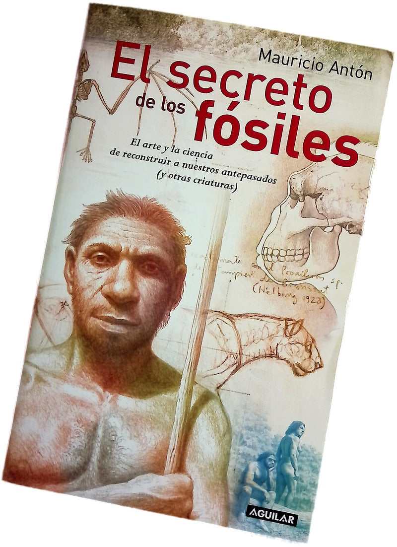 El secreto de los fósiles el arte y la ciencia de reconstruir a nuestros antepasados (y otras criaturas)