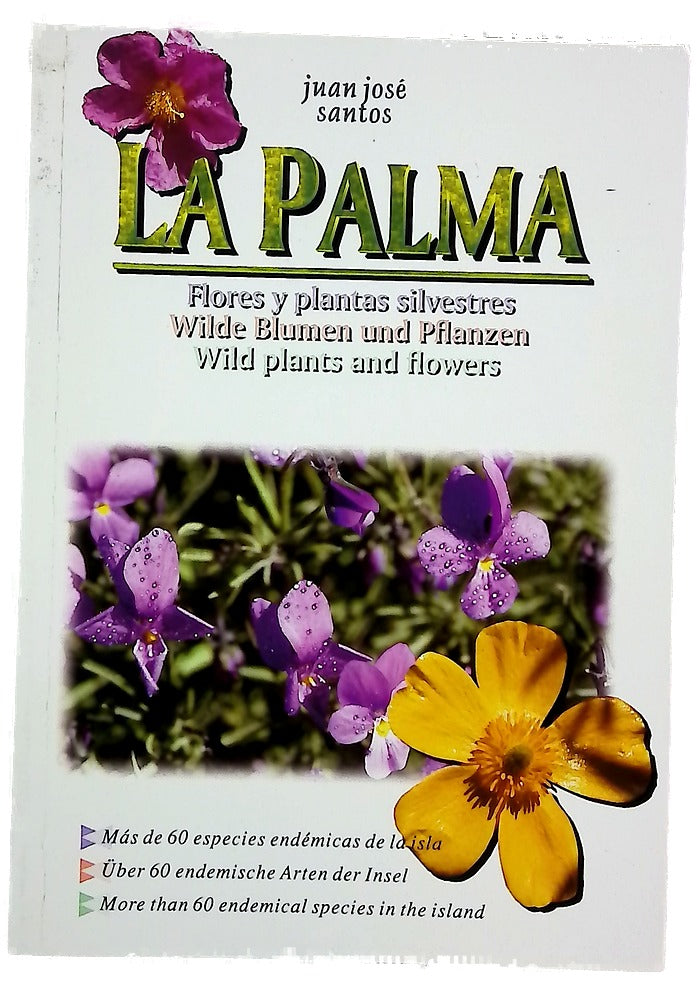 La Palma flores y plantas silvestres