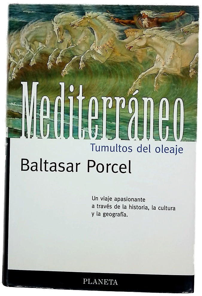 Mediterráneo, tumultos del oleaje