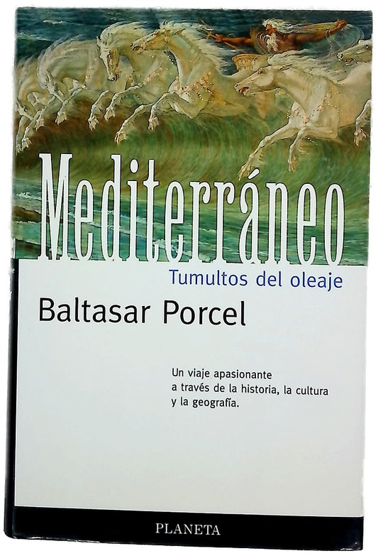 Mediterráneo, tumultos del oleaje