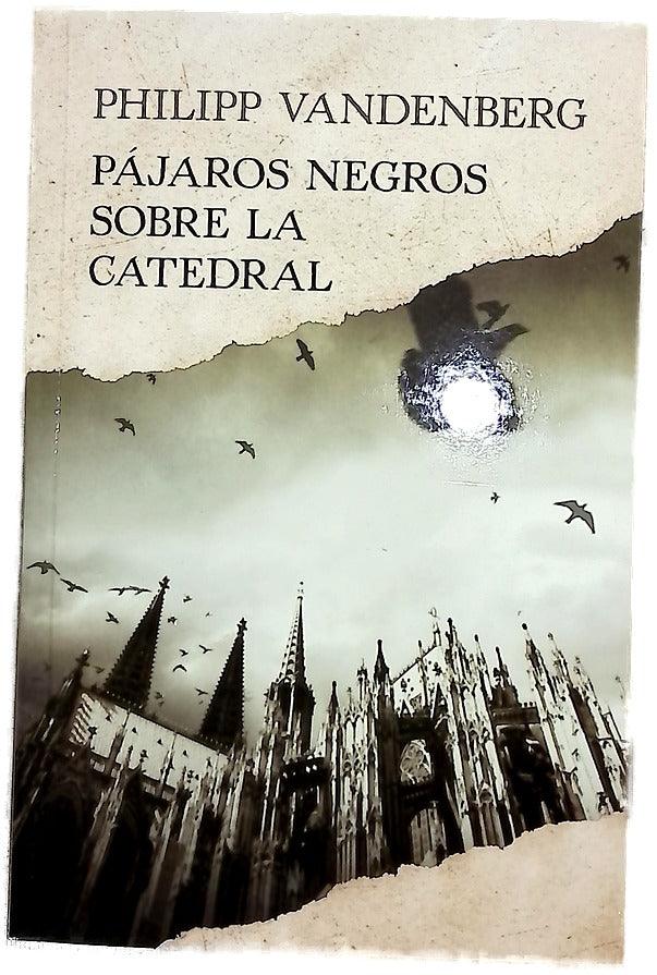 Pájaros negros sobre la catedral