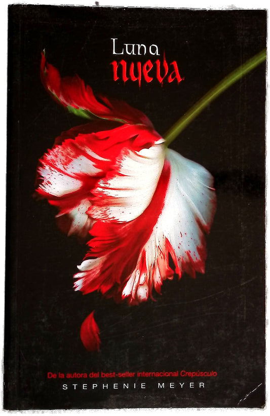 Luna nueva